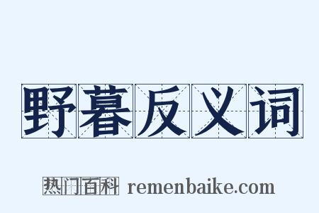 野暮反义词是什么意思的图片